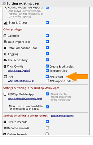 List of user rights checkboxes with API Export checked.