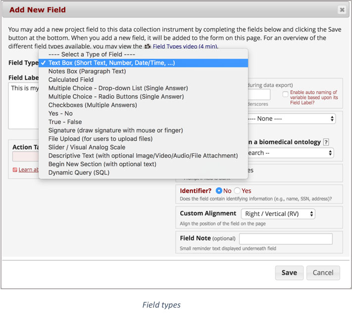 REDCap field types